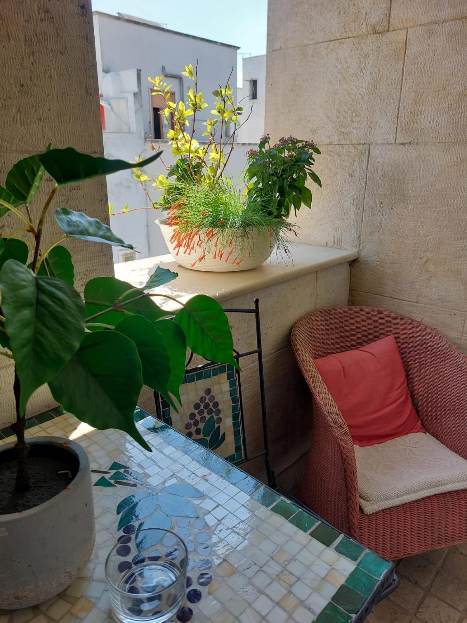 B&B Il Grifone Gioia Del Colle Extérieur photo